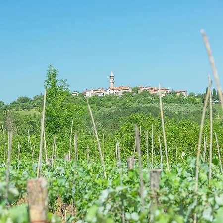 Villa Brih Ii Motovun